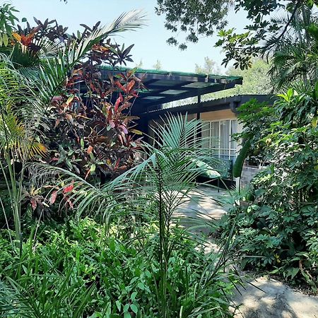 Elephant Walk Guesthouse And Back Packers Phalaborwa Esterno foto