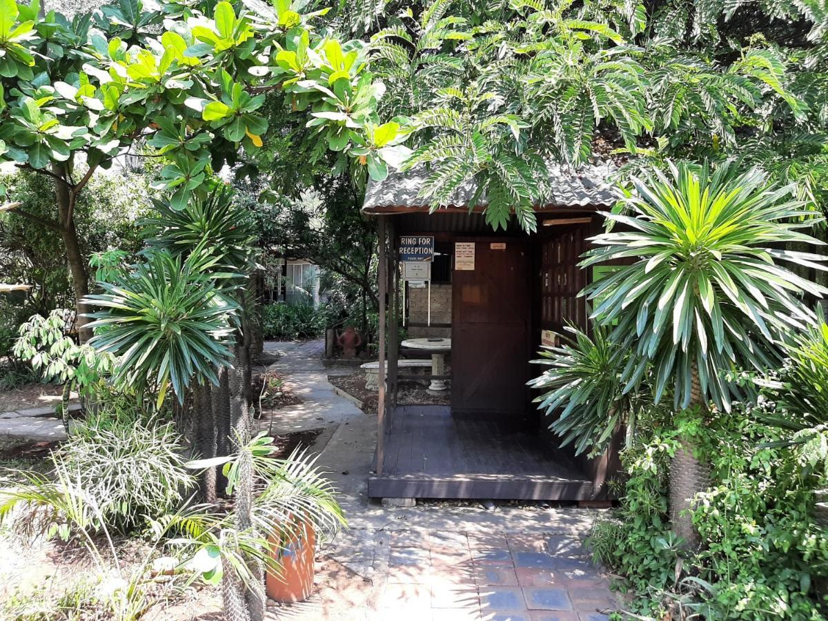 Elephant Walk Guesthouse And Back Packers Phalaborwa Esterno foto