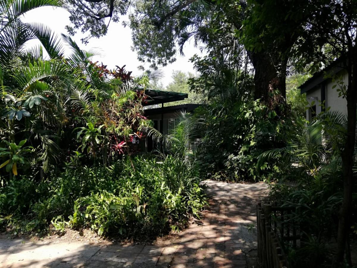 Elephant Walk Guesthouse And Back Packers Phalaborwa Esterno foto