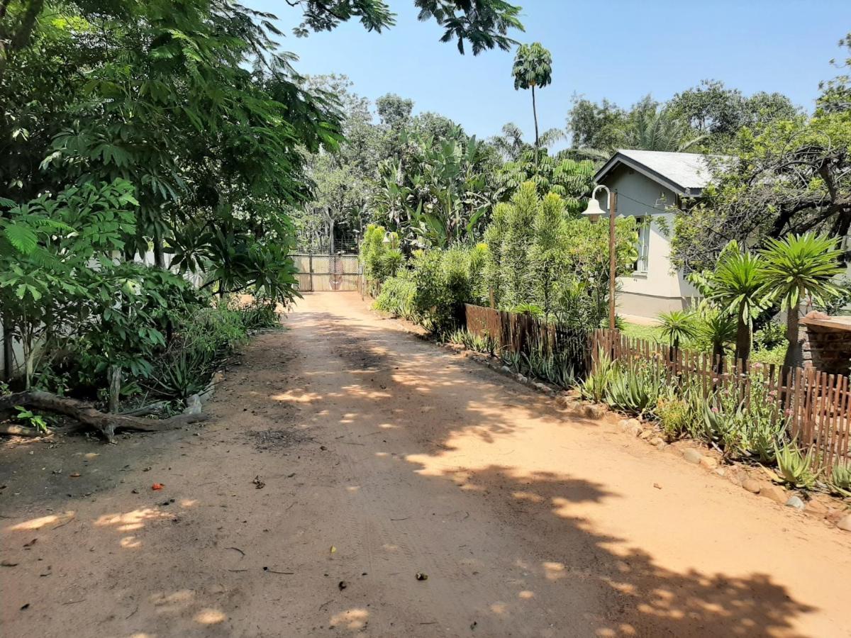 Elephant Walk Guesthouse And Back Packers Phalaborwa Esterno foto